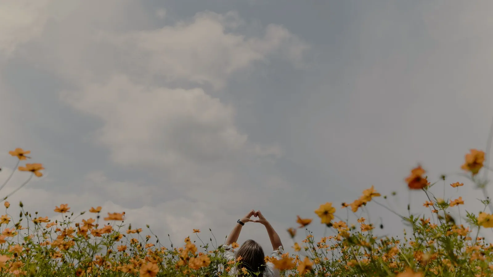 moca no meio de flores margaridas com maos para o alto